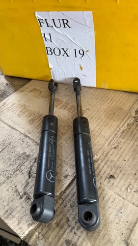 Gas spring tailgate - gas,